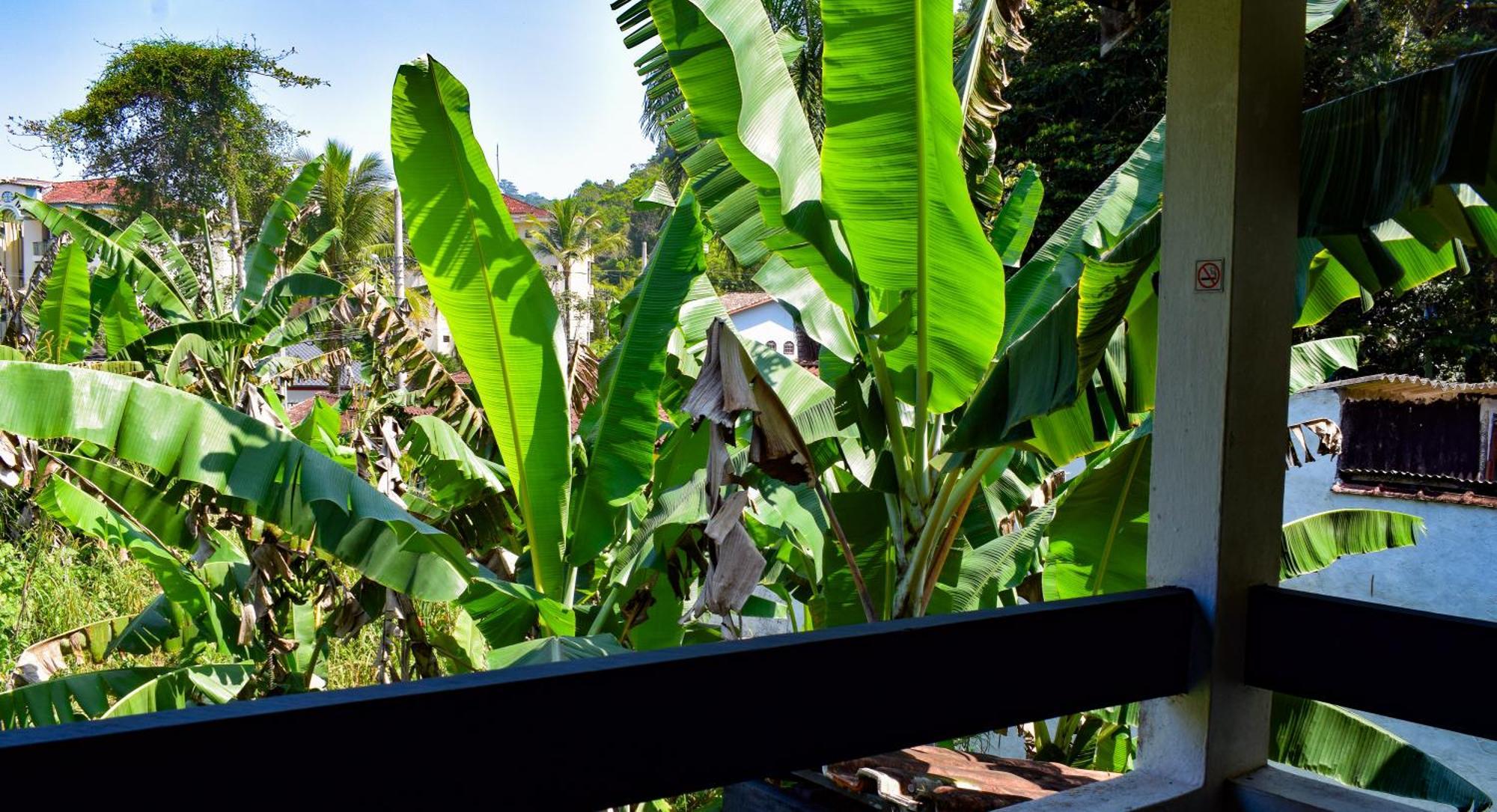 Chales Suites Ubatuba Paradise Toninhas المظهر الخارجي الصورة